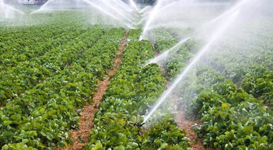 Tarım Alanı Sulama